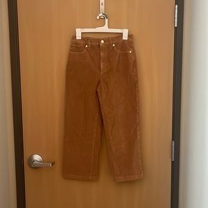 Express Corduroy Pants